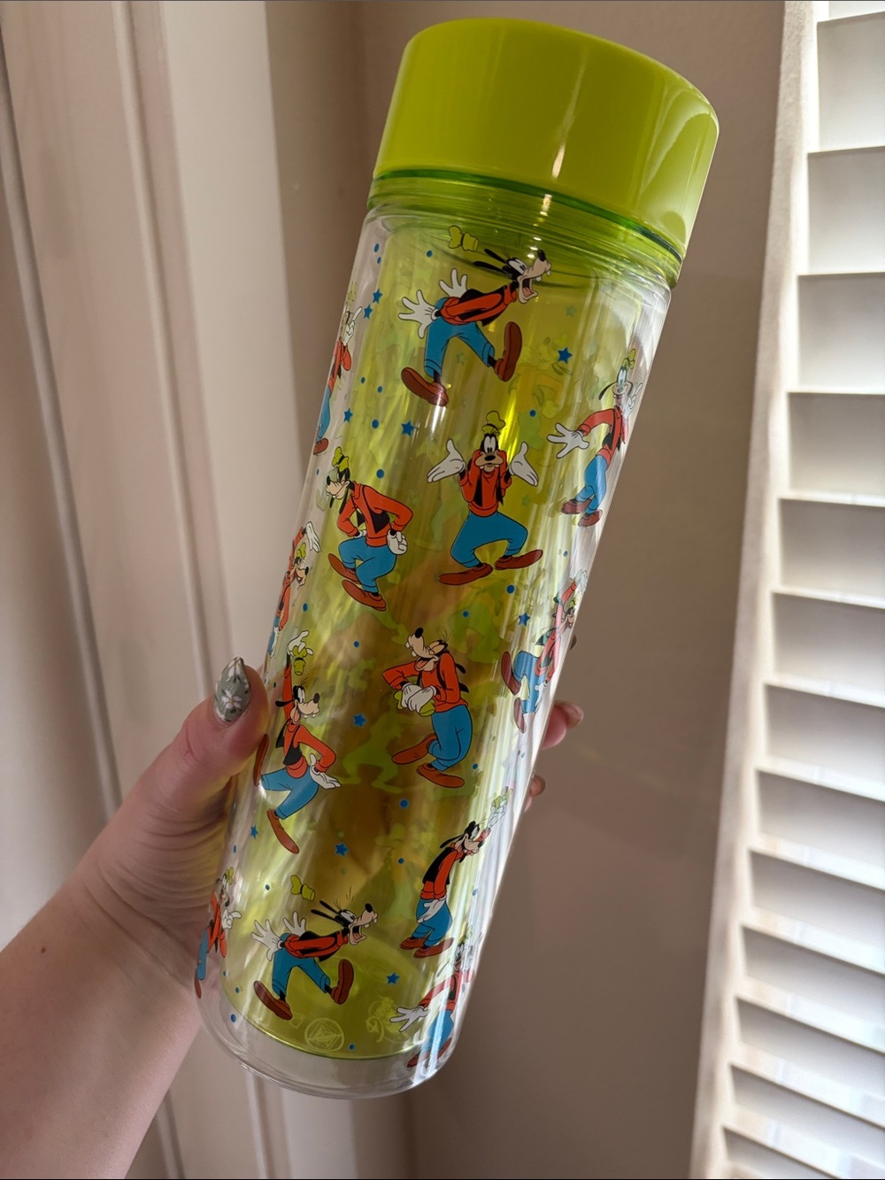 Disney Green Goofy Double-Wall Travel Bottle